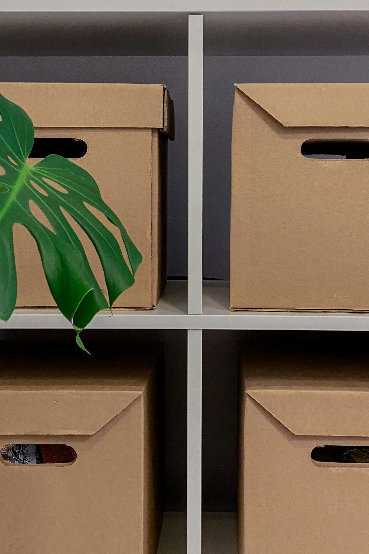How to Clean, Store and Care for Fabric Displays (So They Last for Years)