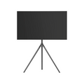 TV and Stand 55 inches Hire